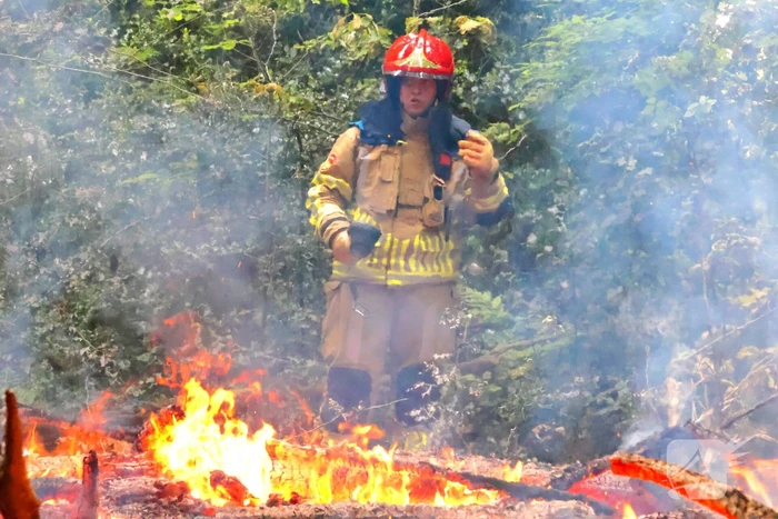 Tevergeefse bluspoging bosbrand