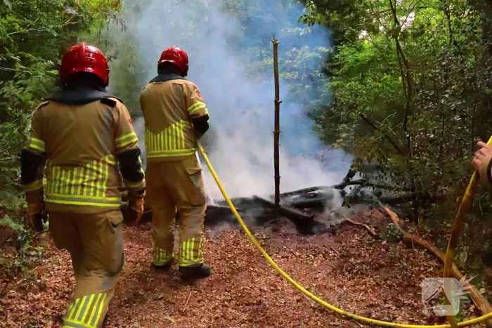 Tevergeefse bluspoging bosbrand