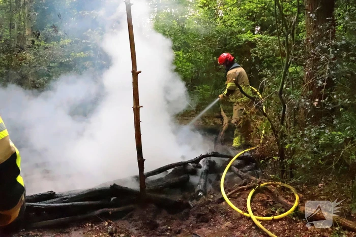 Tevergeefse bluspoging bosbrand