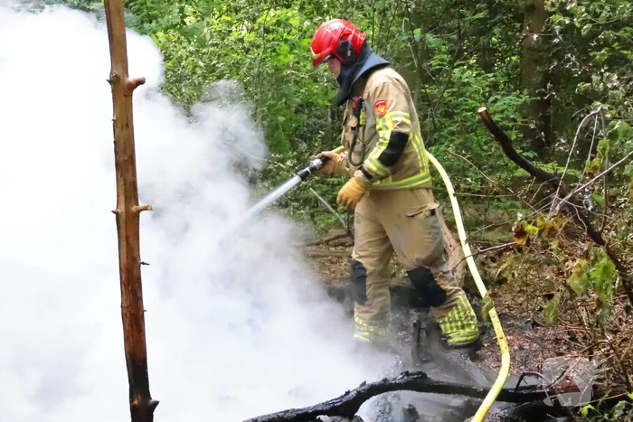 Tevergeefse bluspoging bosbrand
