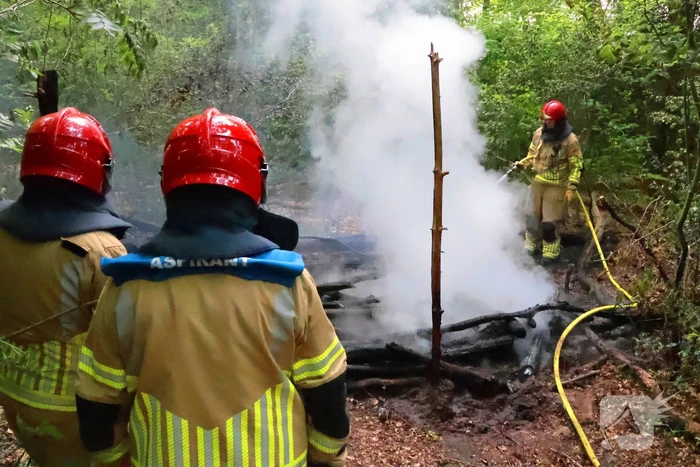 Tevergeefse bluspoging bosbrand