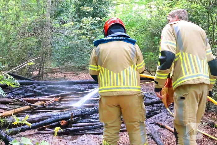 Tevergeefse bluspoging bosbrand