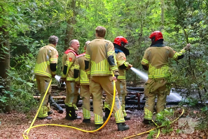 Tevergeefse bluspoging bosbrand