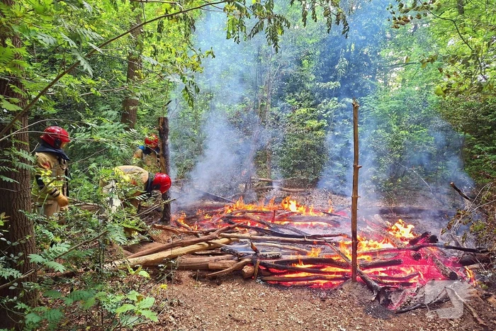 Tevergeefse bluspoging bosbrand