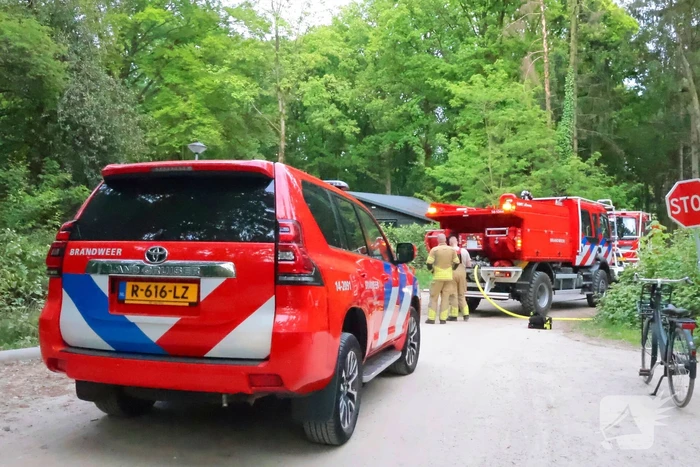 Tevergeefse bluspoging bosbrand