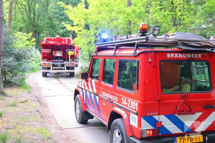 Tevergeefse bluspoging bosbrand