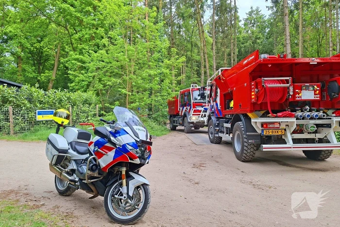 Tevergeefse bluspoging bosbrand
