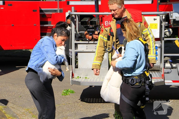 nieuws magdalenastraat weert