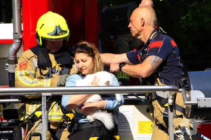 Brandweer komt in actie voor vastzittende kat