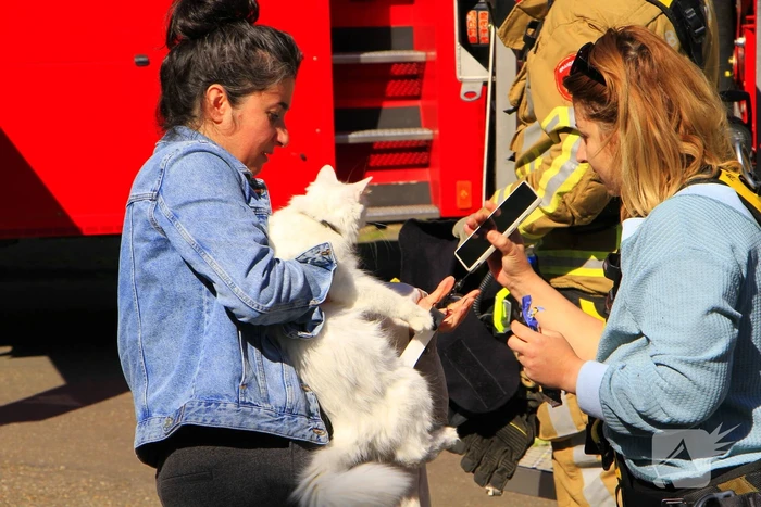 Brandweer komt in actie voor vastzittende kat