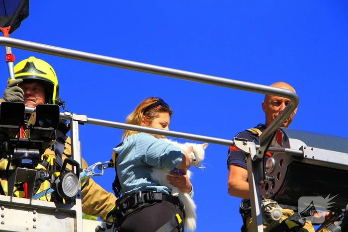 Brandweer komt in actie voor vastzittende kat