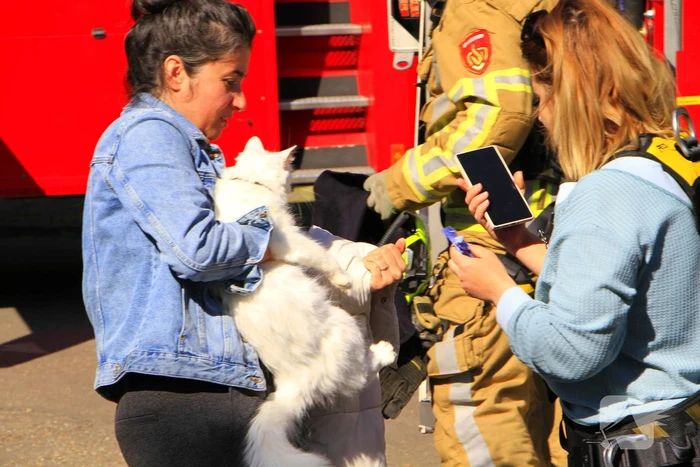Brandweer komt in actie voor vastzittende kat