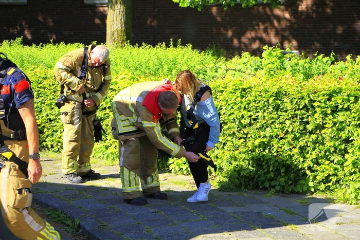Brandweer komt in actie voor vastzittende kat