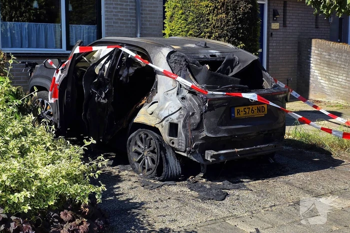 brand spinozastate ede