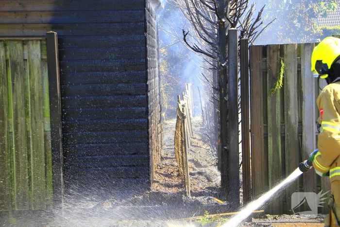 Schuur vat vlam door brandende coniferen