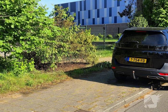 Bermbrand naast auto snel onder controle