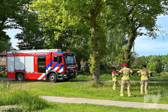 natuur weerdhuisweg lemelerveld