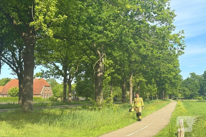 Brandweer verwijdert gevaarlijk hangende tak