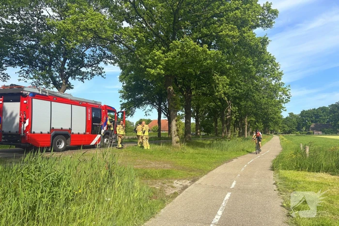 Brandweer verwijdert gevaarlijk hangende tak