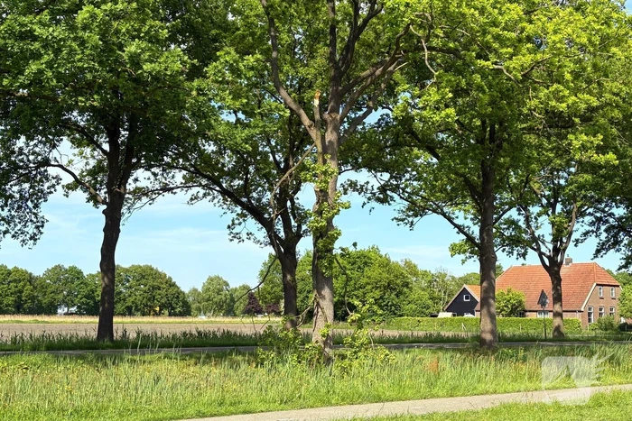 Brandweer verwijdert gevaarlijk hangende tak