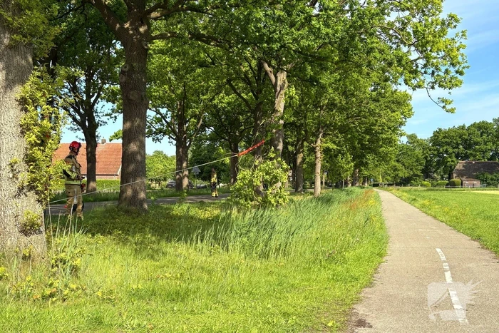 Brandweer verwijdert gevaarlijk hangende tak