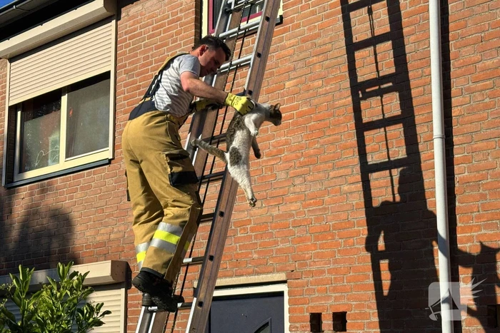 nieuws louis couperusstraat gemert