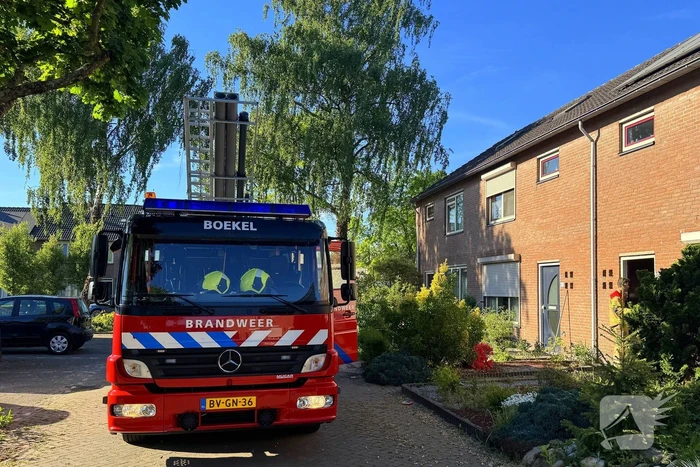 Kat kruipt onder dakpannen, brandweer bevrijdt kat