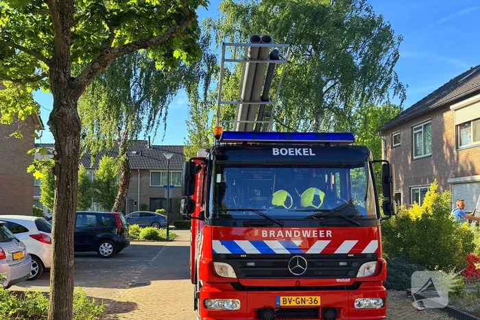 Kat kruipt onder dakpannen, brandweer bevrijdt kat