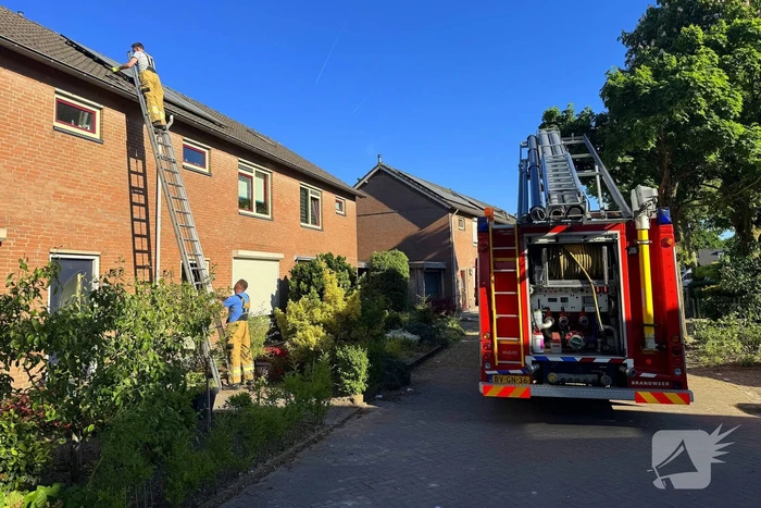 Kat kruipt onder dakpannen, brandweer bevrijdt kat