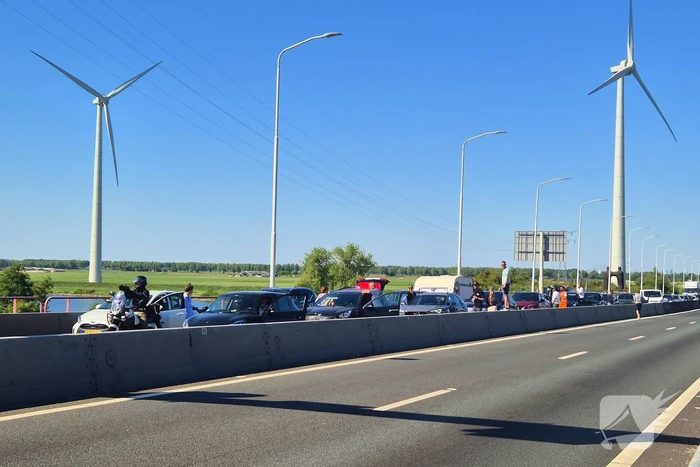 Storing Haringvlietbrug, zorgt voor flinke file