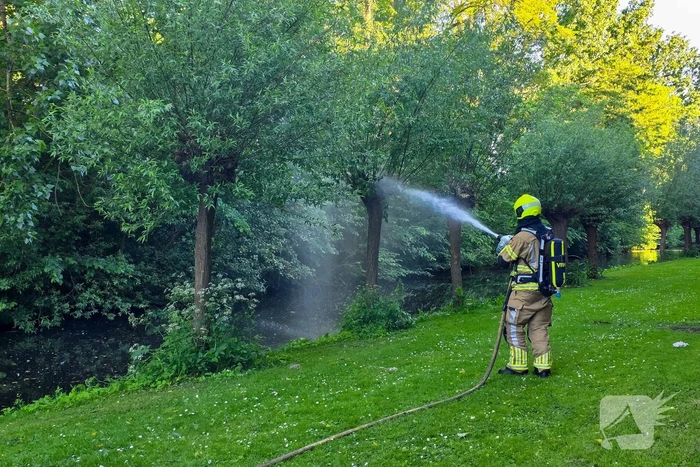 Brandweer blust brandende boom