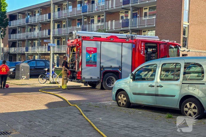 Brandweer blust brandende boom