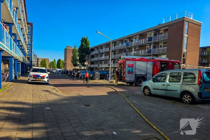 Brandweer blust brandende boom