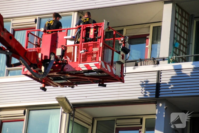 Duif gered van balkon