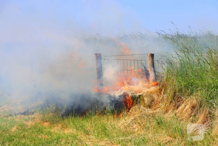 Felle bermbrand snel onder controle