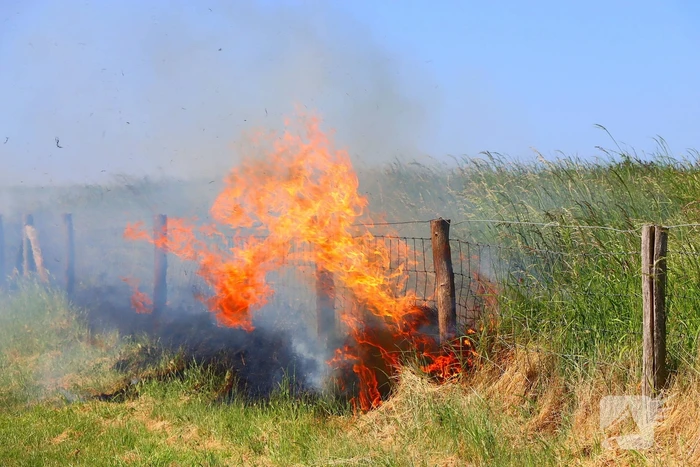 Felle bermbrand snel onder controle