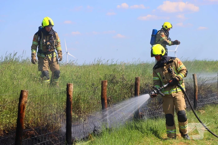 Felle bermbrand snel onder controle