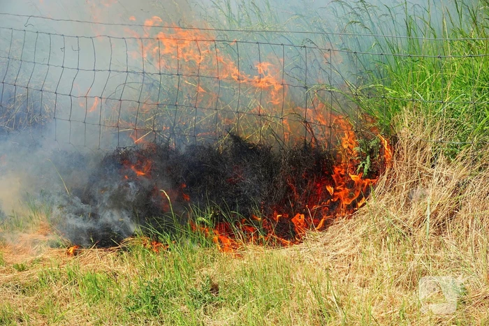 Felle bermbrand snel onder controle