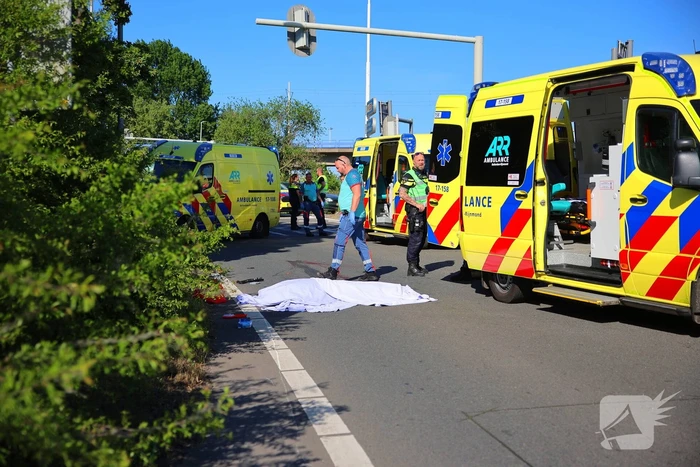 Fietser geschept en overleden