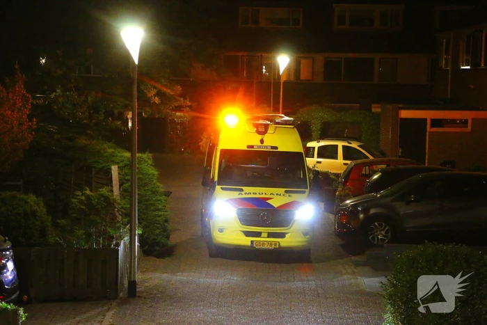 nieuws schilpdel noordwijk