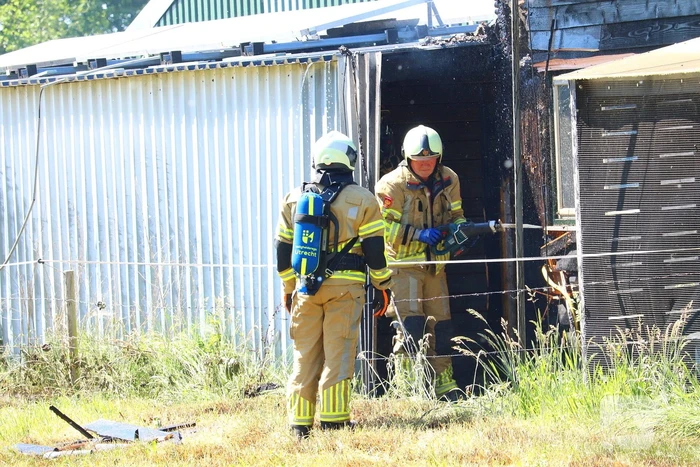 Brand in bosschage slaat over op gebouw