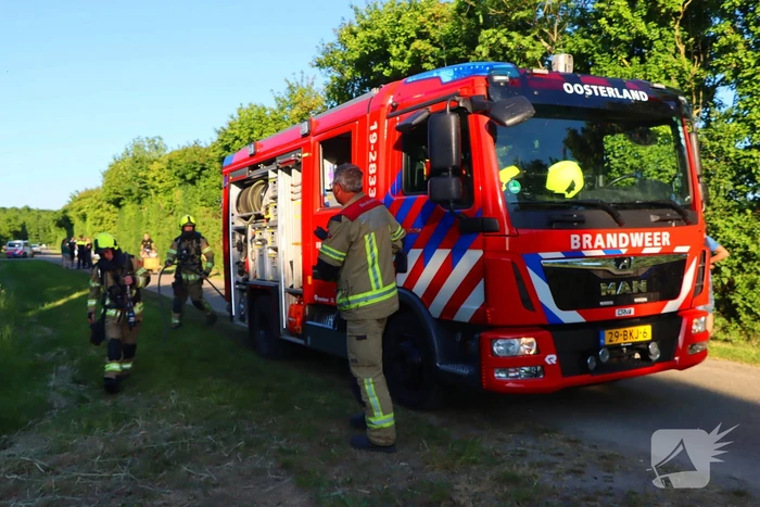 Bomen en pipowagen in brand