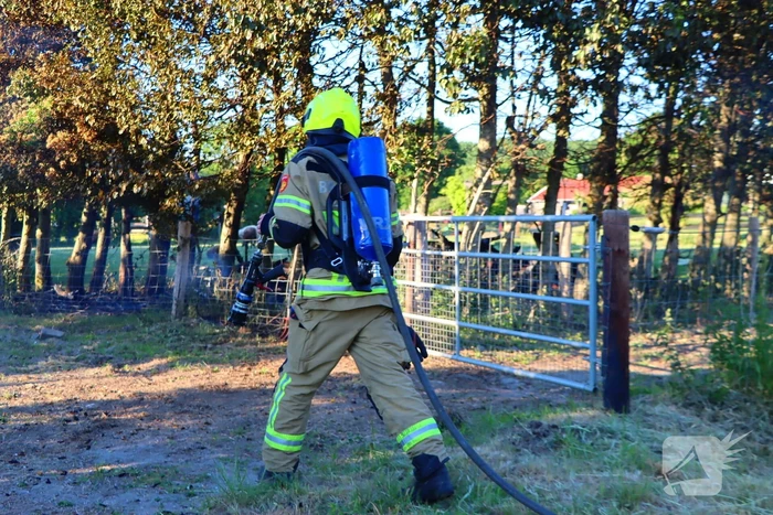 Bomen en pipowagen in brand