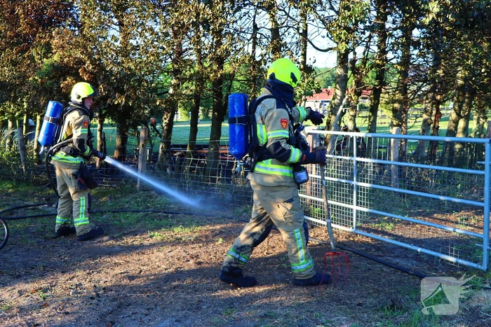 Bomen en pipowagen in brand
