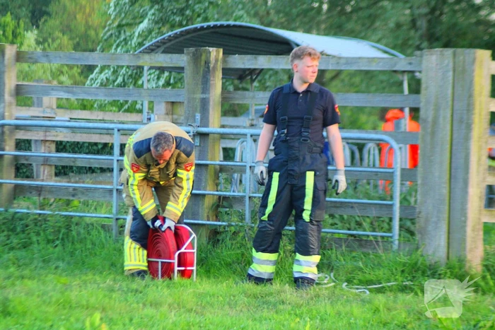Brandweer redt uit uitgeputte Schotse Hooglander uit sloot