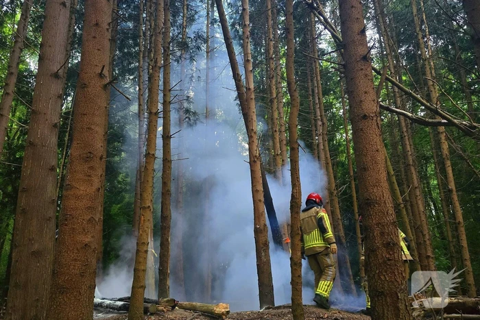 brand zoom 10 lelystad