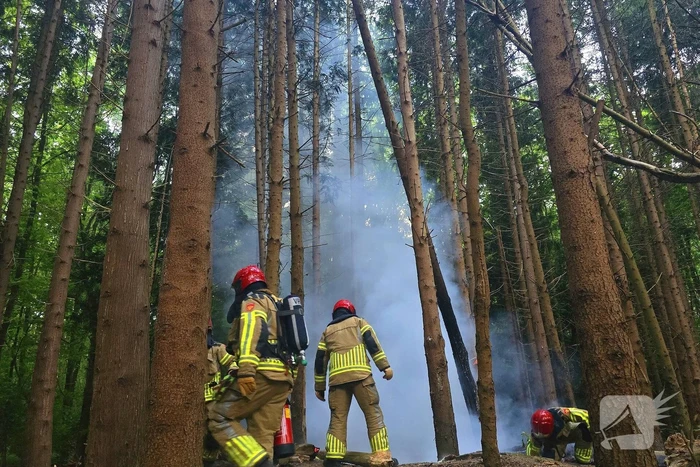 Brandweer ingezet voor bosbrand