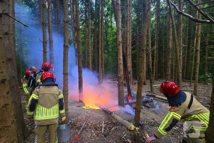Brandweer ingezet voor bosbrand