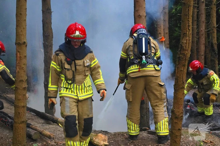 Brandweer ingezet voor bosbrand