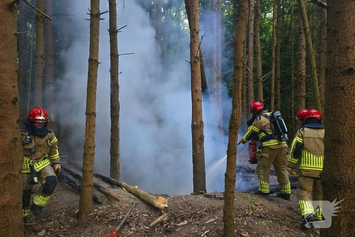 Brandweer ingezet voor bosbrand